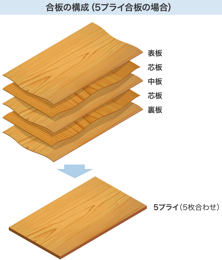 本店は 針葉樹合板 構造用合板 厚み12ｍｍ 高耐水性 ＪAＳ Ｆ 板材 コンパネ 合板 300×300mm 6枚セット 
